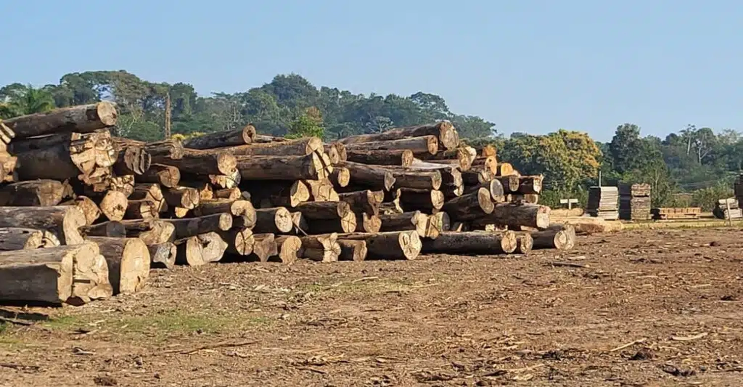 August Jungbluth GmbH & Co. KG - Holzhandel - Holz